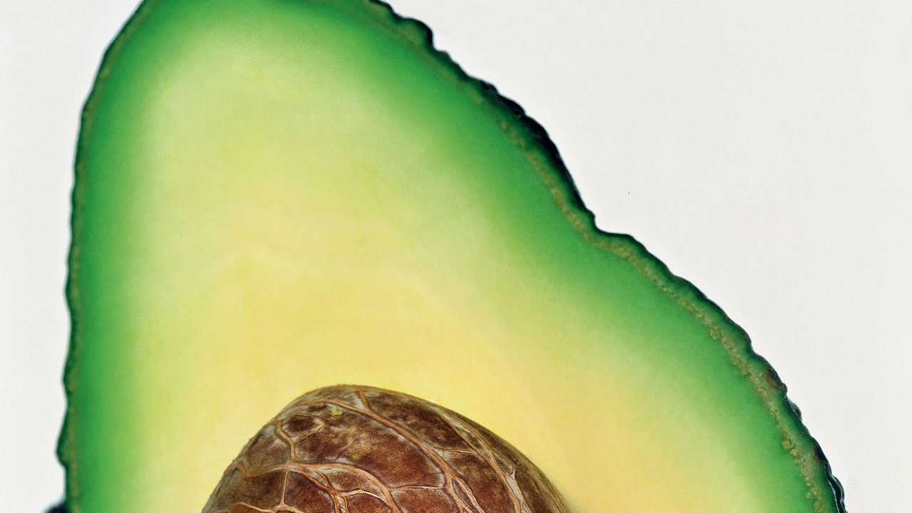 Avocados: The Murky Truth | British Vogue | British Vogue