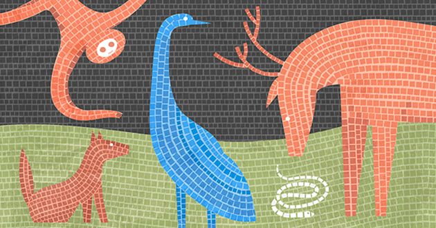How Life Made the Leap From Single Cells to Multicellular Animals | WIRED