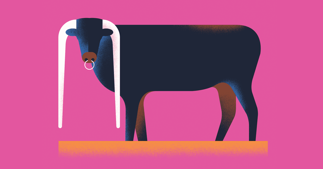 The Testosterone Myth | WIRED
