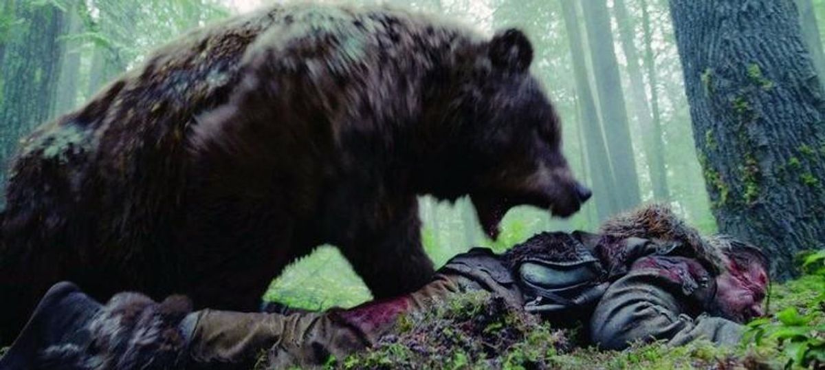 Grizzly vs. Grisly | Snopes.com