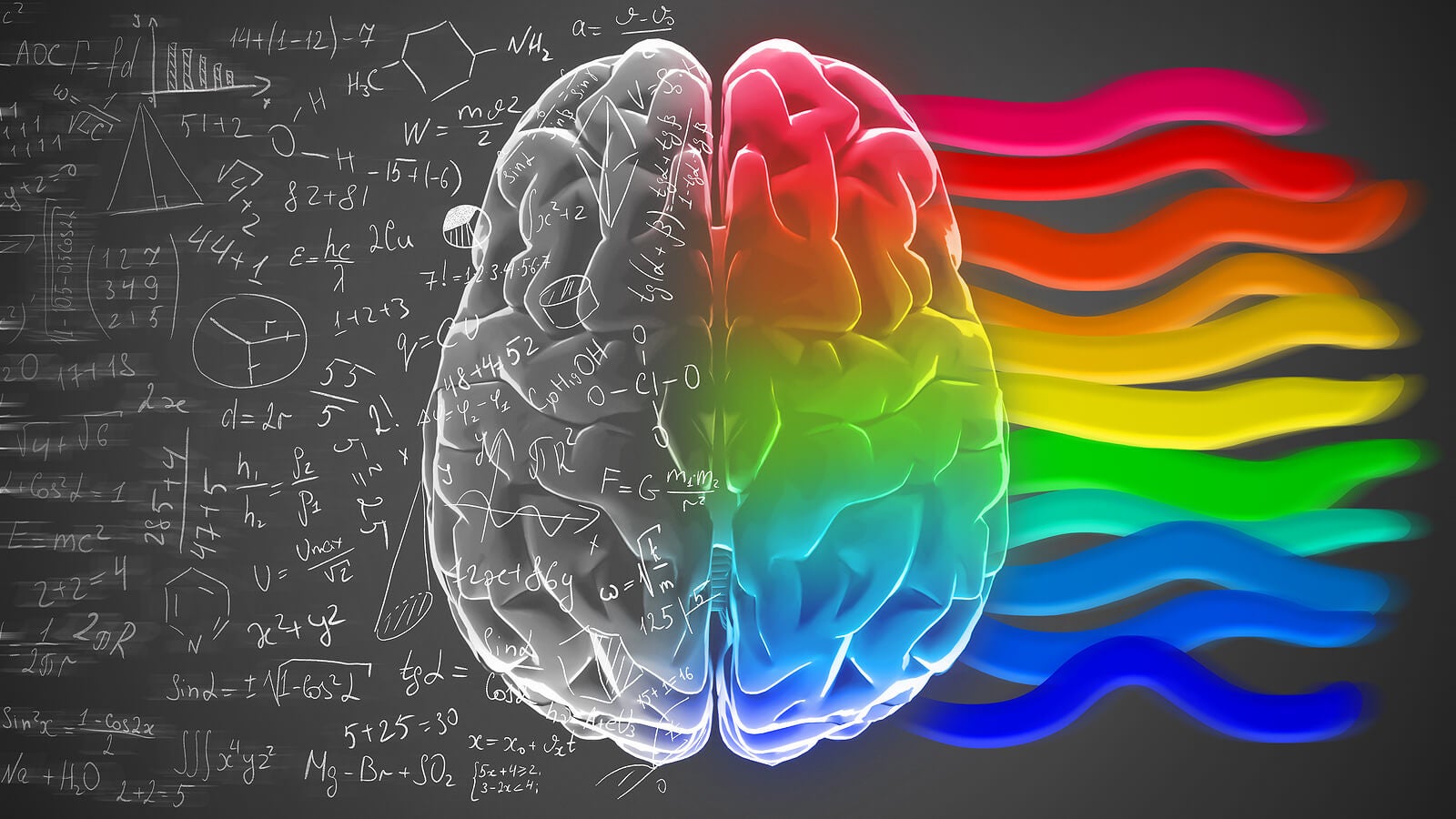 Hemisferios cerebrales y personalidad: ¿un mito? - Mejor con Salud