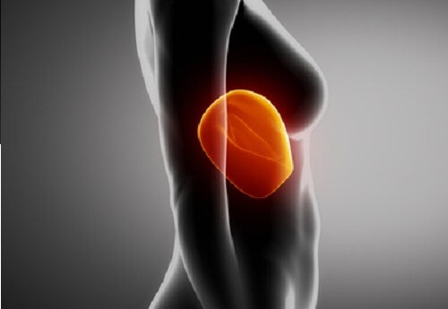 11 consejos para cuidar de tu hígado - Mejor con Salud