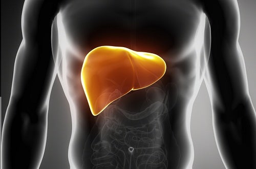 Cómo depurar el hígado en una semana - Mejor con Salud