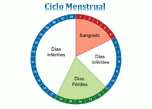 Cuáles son los días fértiles para quedar embarazada - Mejor con Salud