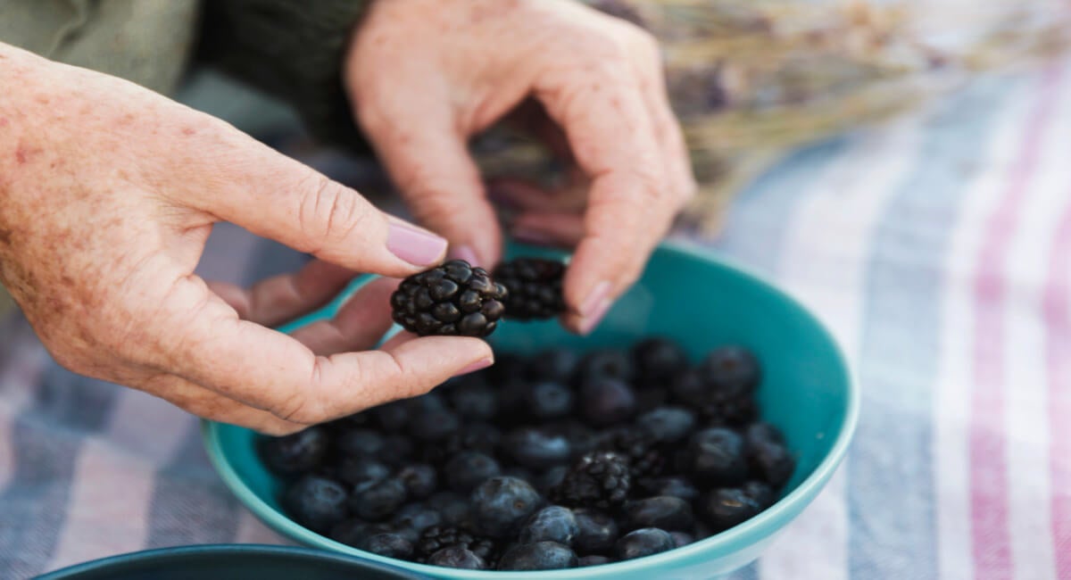 11 beneficios que puedes obtener por consumir moras - Mejor con Salud