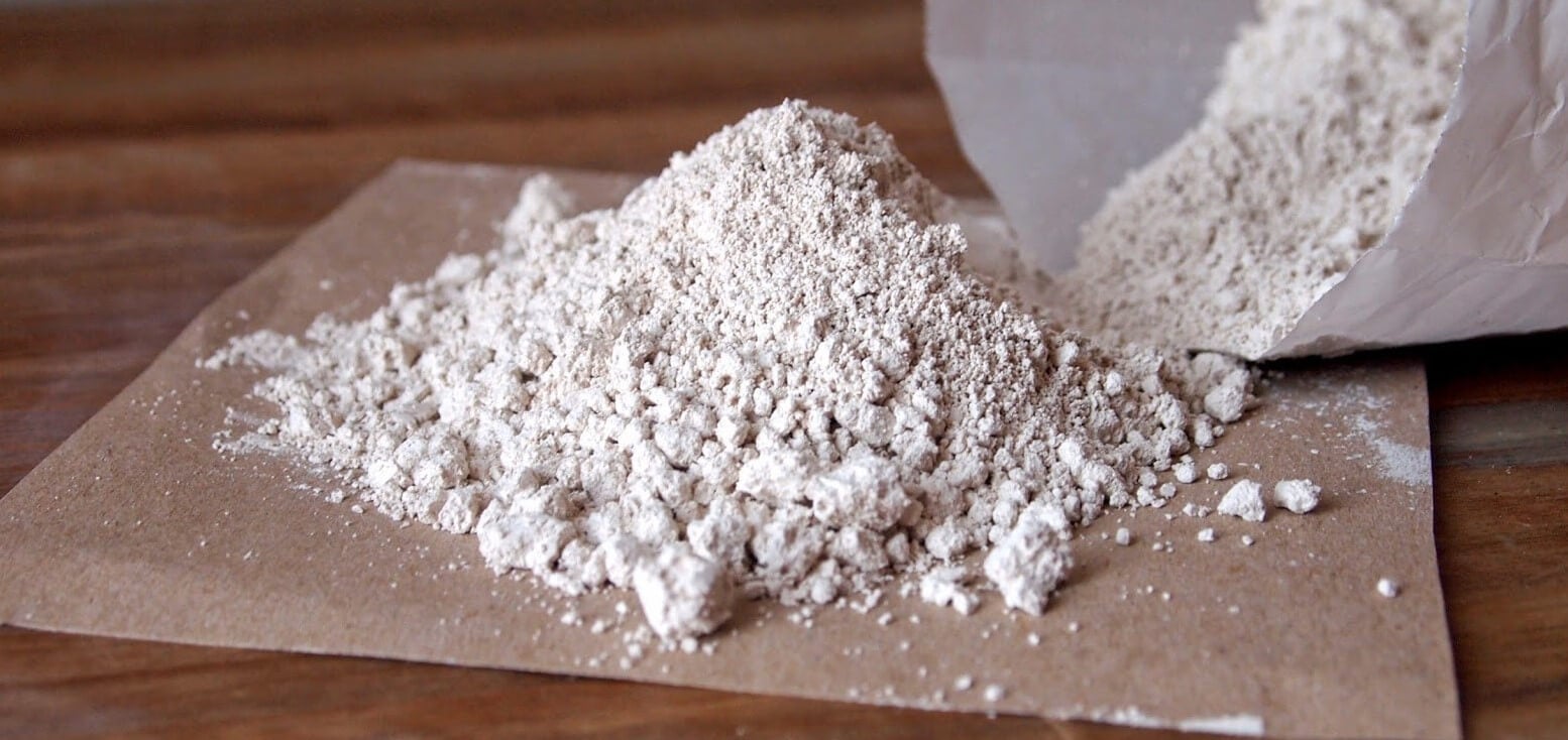 Cómo eliminar las pulgas con tierra de diatomeas - Mejor con Salud