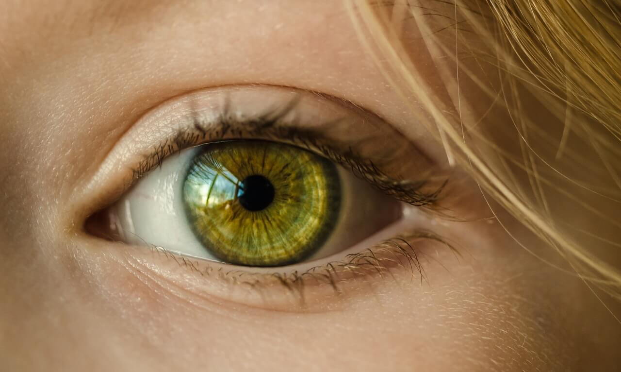 El sentido de la vista y las partes del ojo - Mejor con Salud