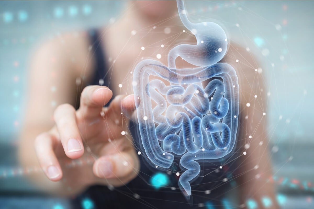 ¿Cómo afecta el ejercicio a la microbiota intestinal? - Mejor con Salud