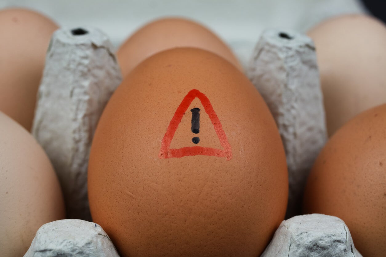 ¿Cuál es el riesgo de comer huevo si tienes colesterol alto? - Mejor con Salud