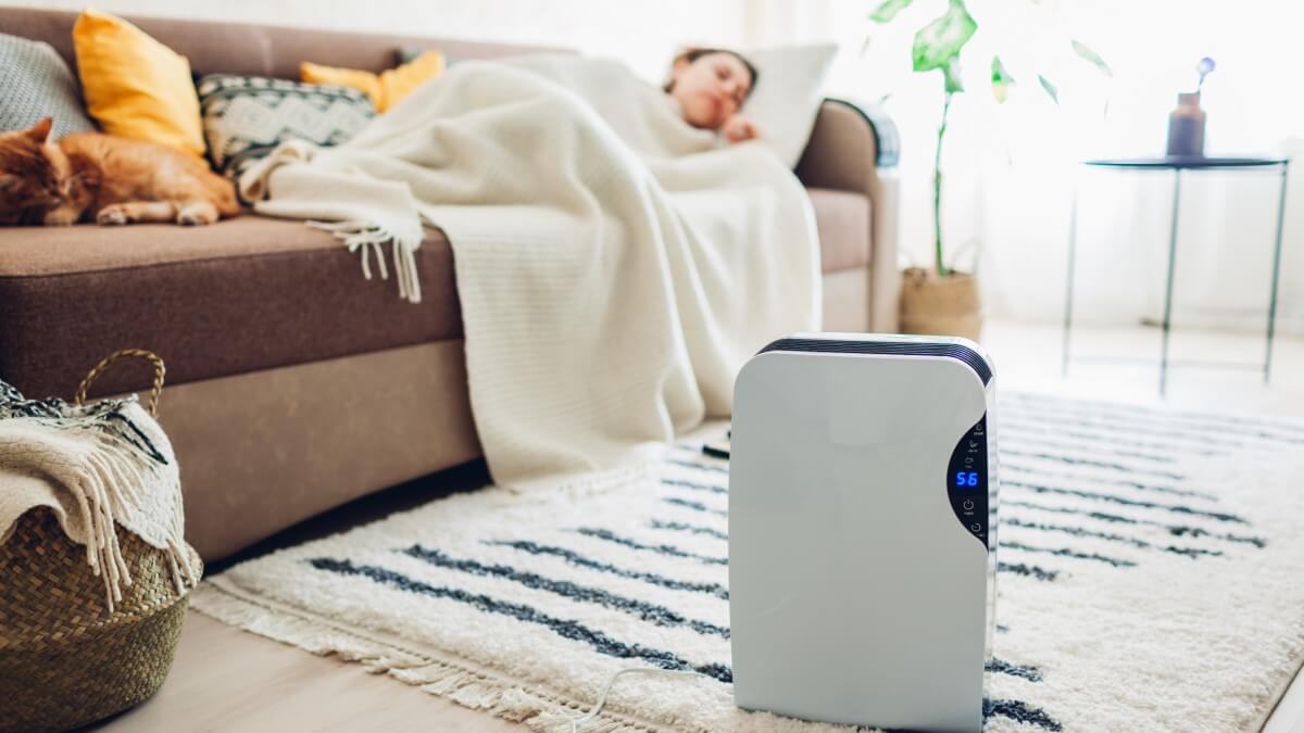 13 deshumidificadores para mejorar el ambiente en casa