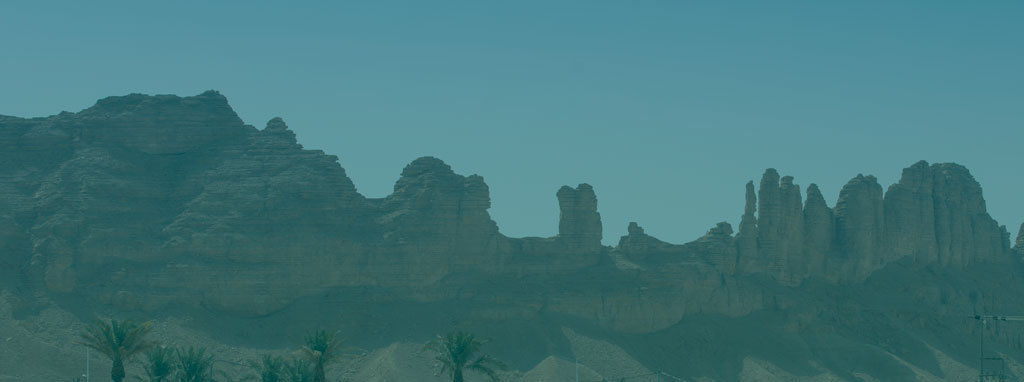 Straight from the Source - Middle East Policy Council