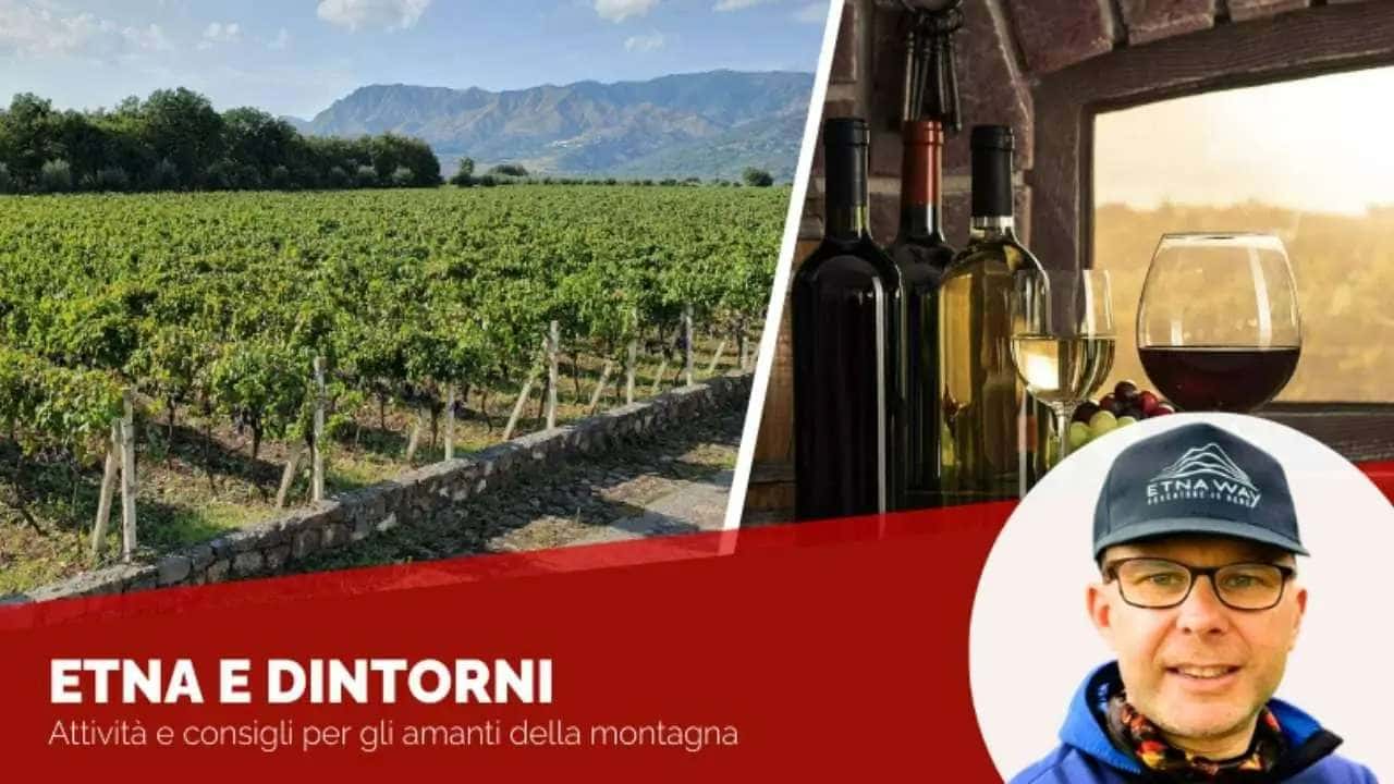 Degustazione vino dell'Etna: la guida tra escursione e cantine