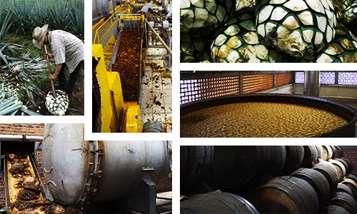 Tequila breaks record in production and exports -