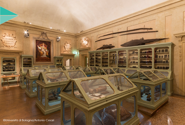 Museo di Palazzo Poggi | MidaTicket