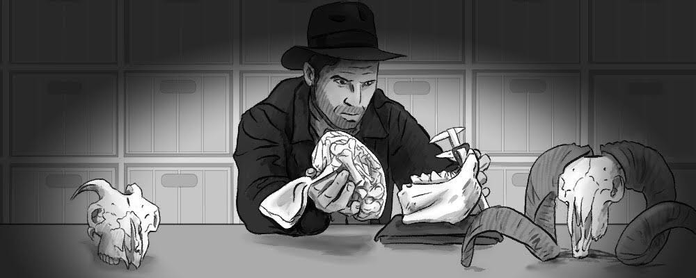 In Defense of (Studying) Food. A Classical Zooarchaeologist’s… | by Flint Dibble | EIDOLON