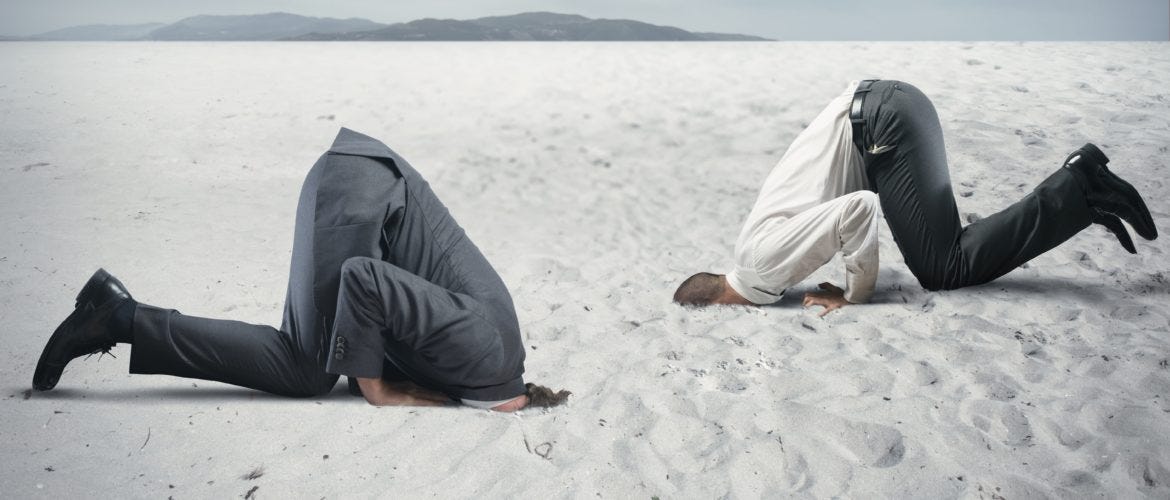 What Getting Chased By a Bear Teaches Us About Leadership | by Dr. Nicole Lipkin | ThinkGrowth.org