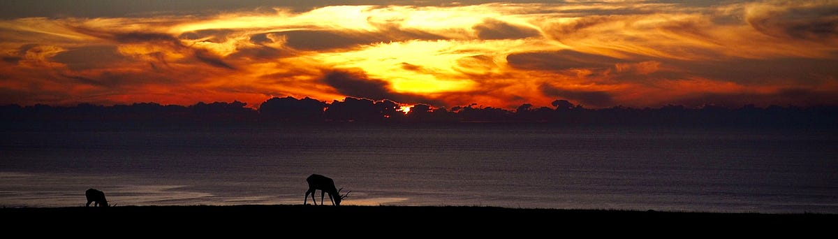 Solar Geoengineering: Ineffective, Risky, Unnecessary | Jonathan Foley | Medium | GlobalEcoGuy.org