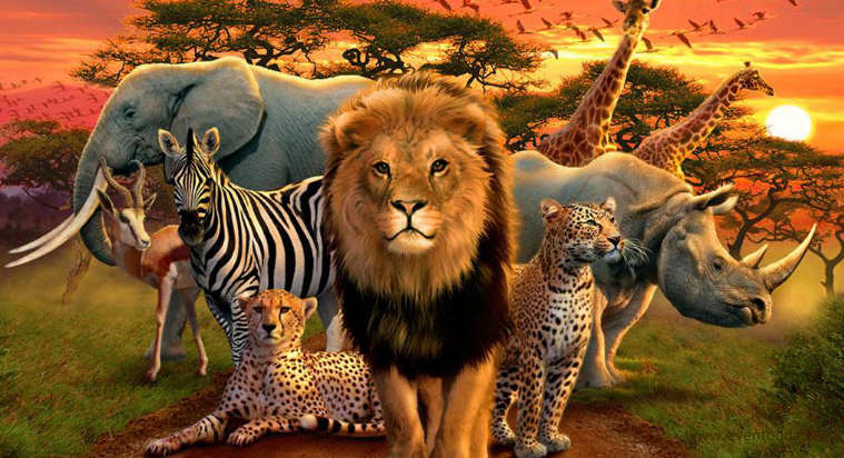 Artificial Intelligence in Biodiversity: How AI can help in Animal Conservation ? | by Matthew-Mcmullen | Becoming Human: Artificial Intelligence Magazine