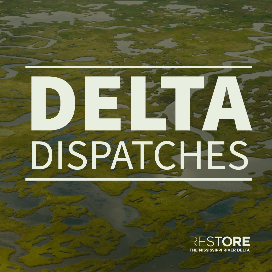 Podcast | Reflecting on Hurricane Katrina's Legacy | Delta Dispatches