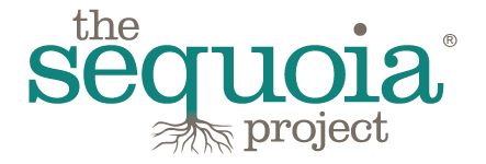 The Sequoia Project Publishes Guidance on Standardized