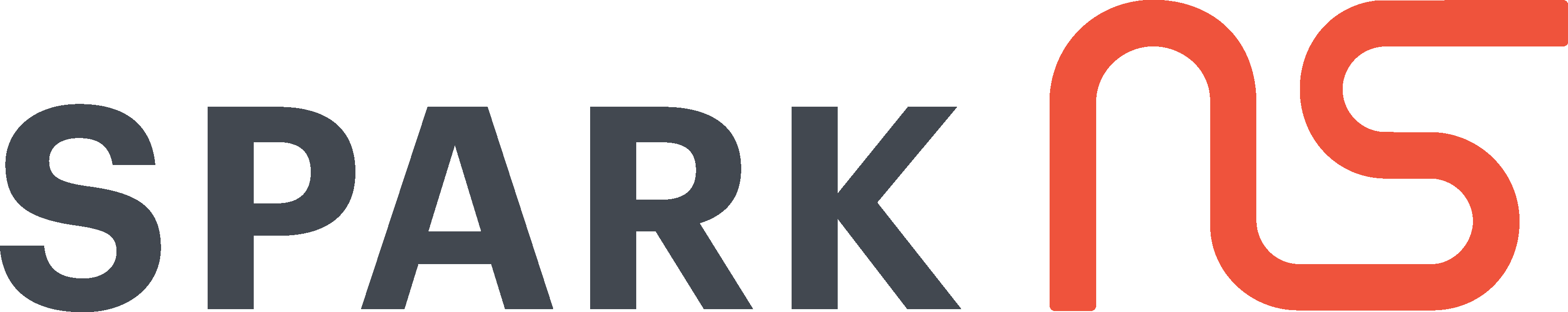 SPARK NS cover