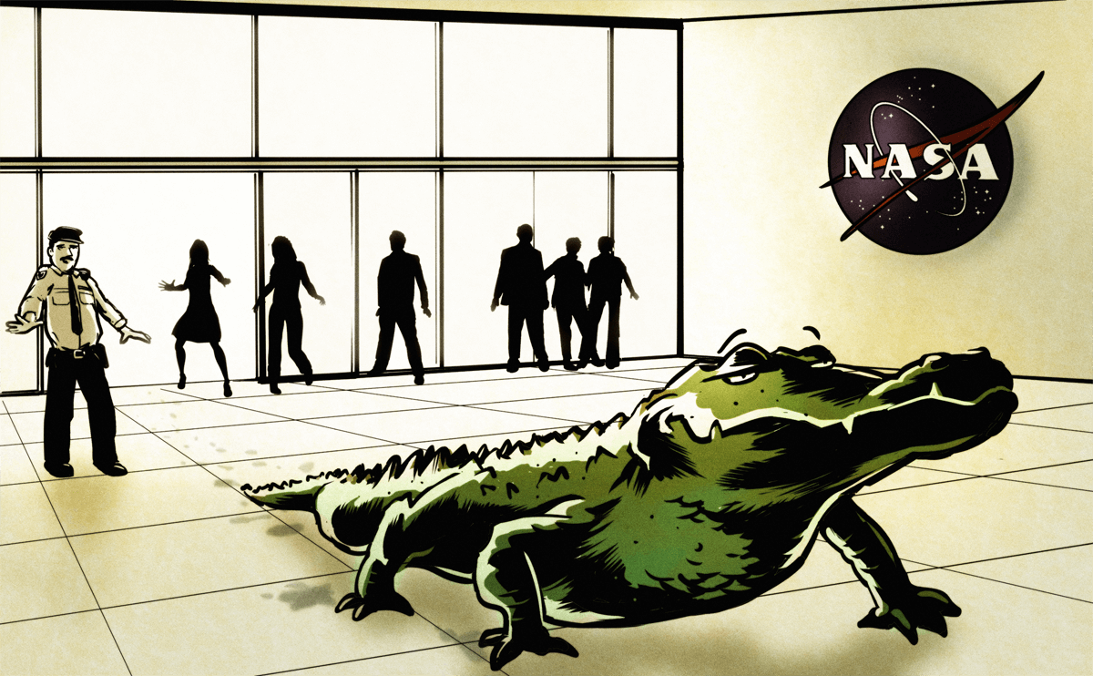 Gators and Rattlers and Buzzards and Boars: The Wild Side of NASA's Campus - Modern Farmer