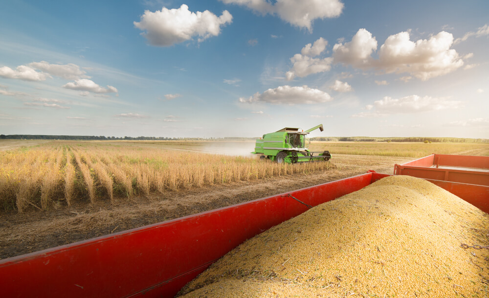 Congress Finally Passed a New Farm Bill and It Continues to Pay Homage to the Cult of Corn and Soy - Modern Farmer
