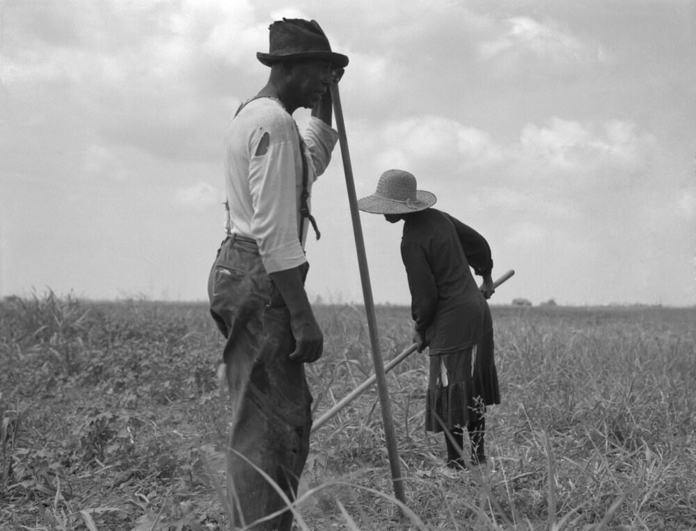How Did African-American Farmers Lose 90 percent of Their Land? - Modern Farmer