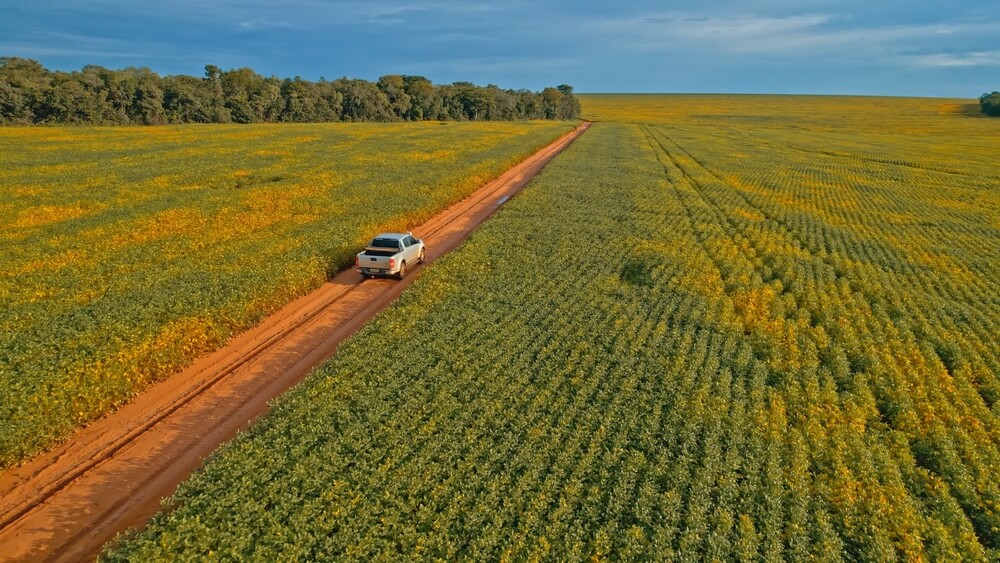 Farmers are Struggling With Climate Change, but Yields Continue to Rise. What’s Going On? - Modern Farmer