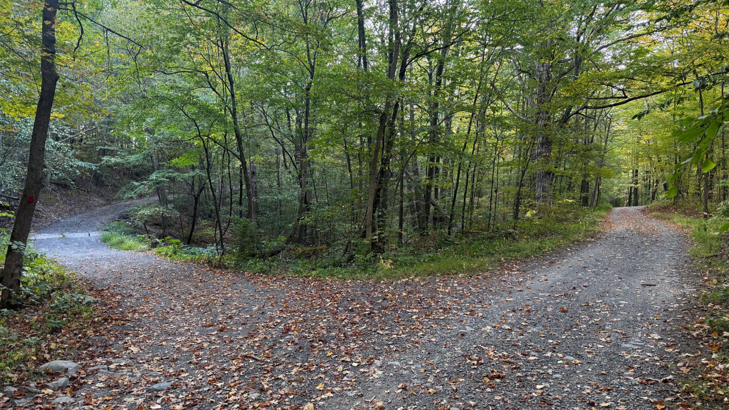 THE FUTURE IS NOW: Leadership in a Critical Time - Mohonk Consultations