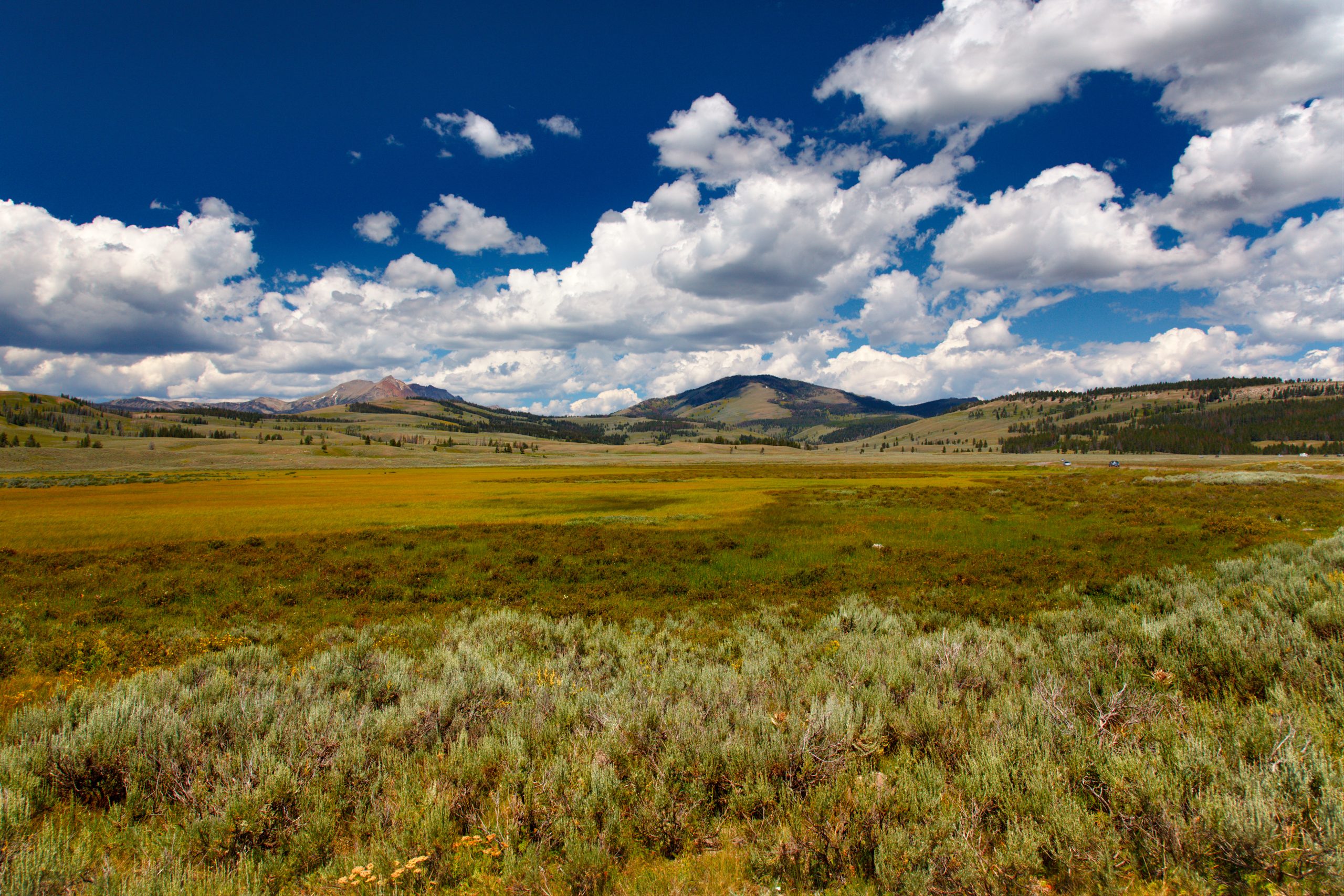 How Montana's Constitution shapes the state’s environmental landscape