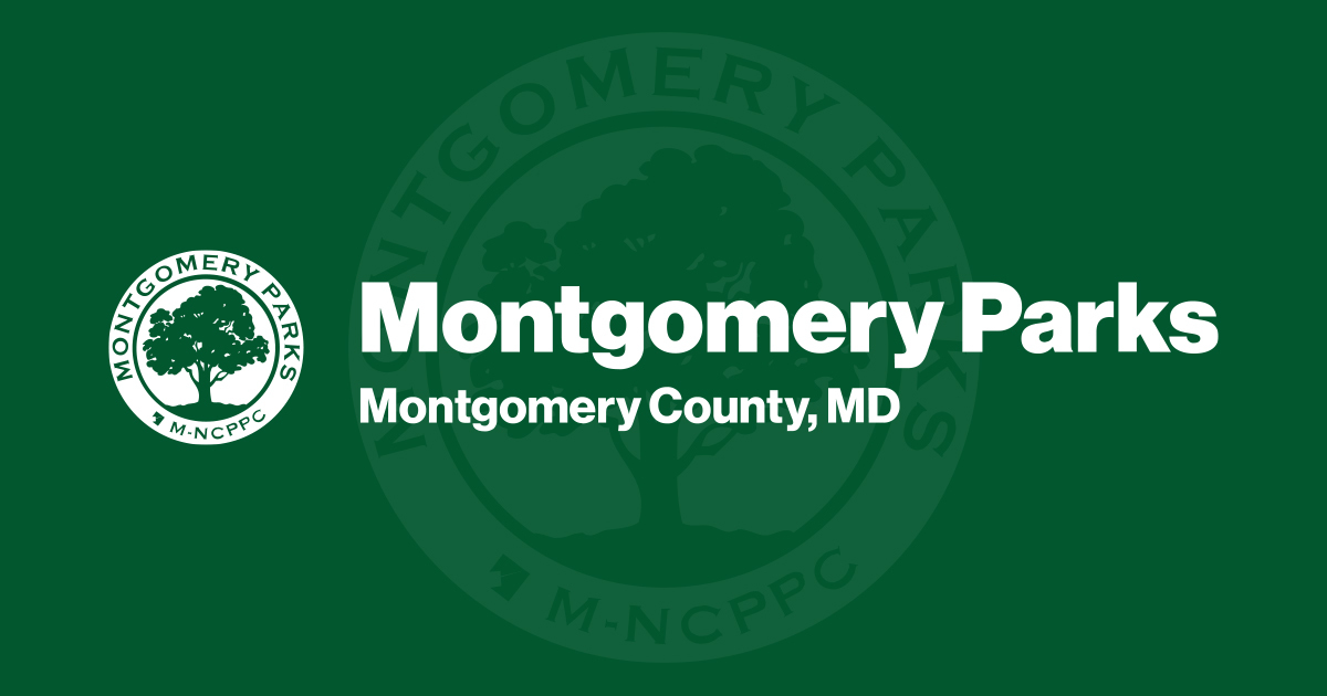 Director Miti Figueredo interview with Montgomery al dia - Montgomery Parks