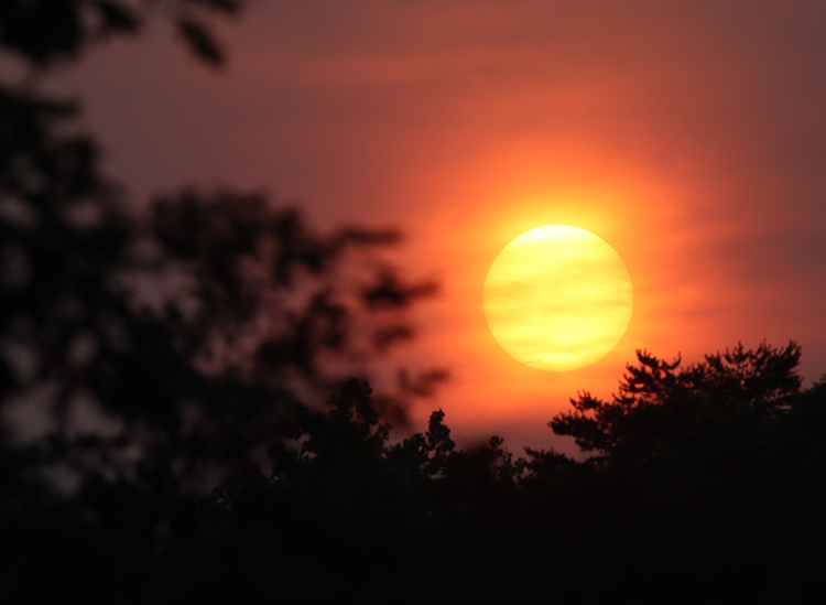 Seeing spots thanks to Canadian wildfires - Mountain Beltway