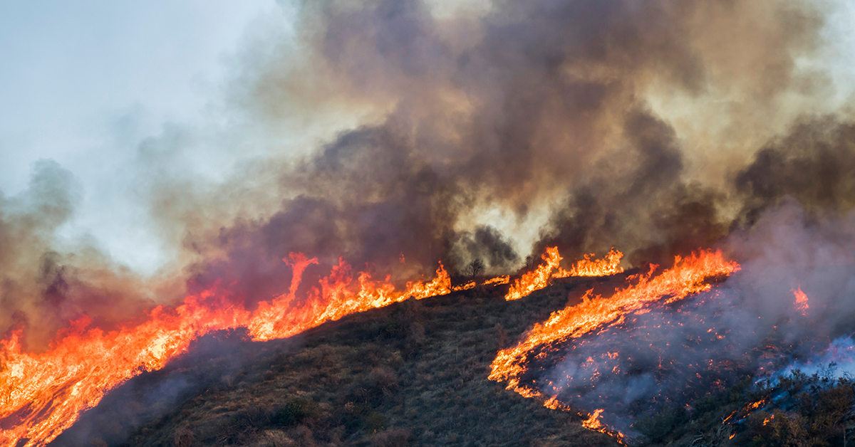 Protecting Children from Wildfire Smoke - Institute for Exposomic Research