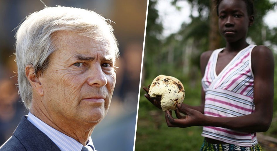 Déforestation : Greenpeace épingle Vincent Bolloré