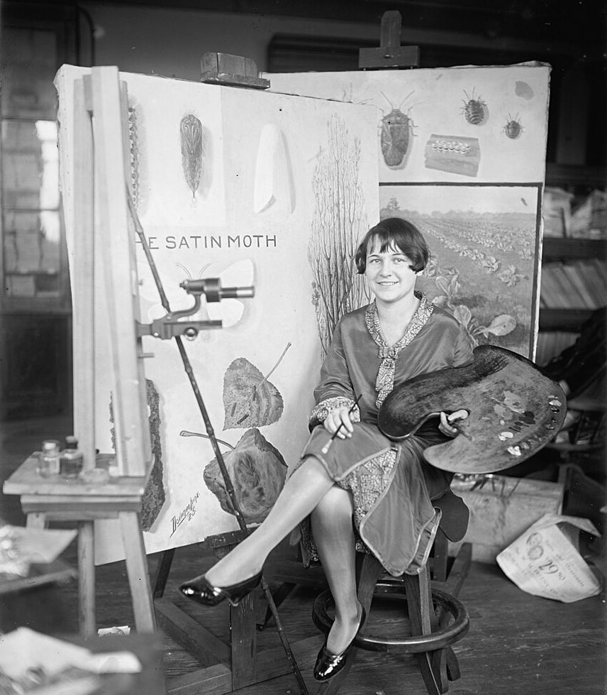 Mary Foley Benson, la artista que dibujaba cochinillas - Mujeres con ciencia