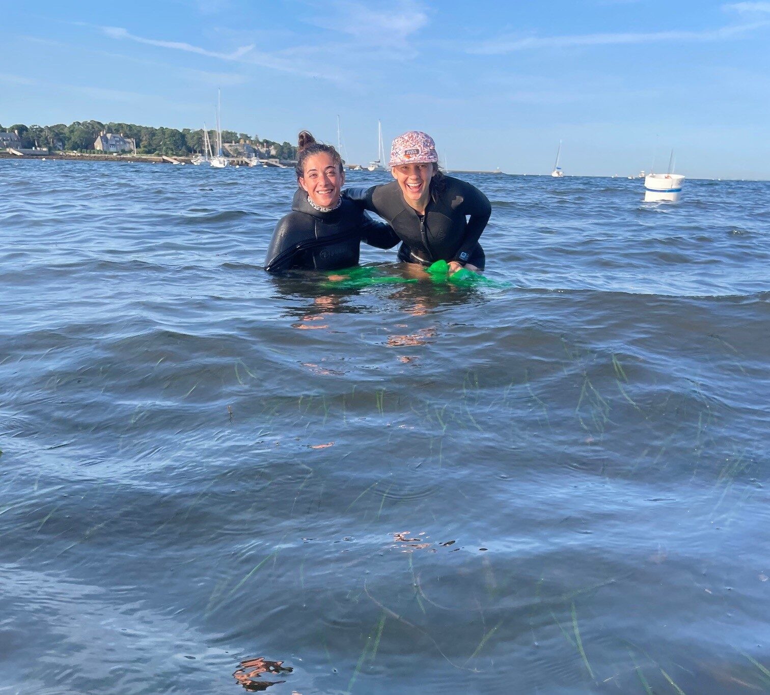 Restoring Seagrass in Coastal Waters | MVPC