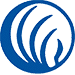 For Affiliate Leaders - NAMI New York State