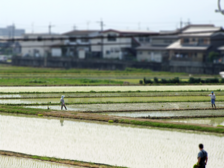 Showdown: The Trans-Pacific Partnership vs. Japan's Farm Lobby - The National Interest
