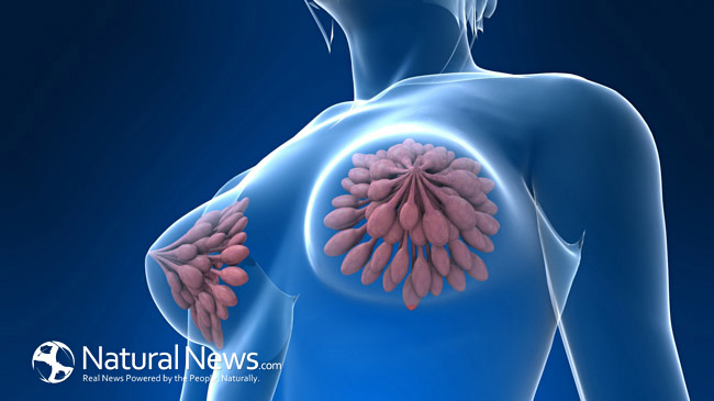 NaturalNewsBlogs Breast Cancer Survivor Says Raw Food Diet Helped Her Heal