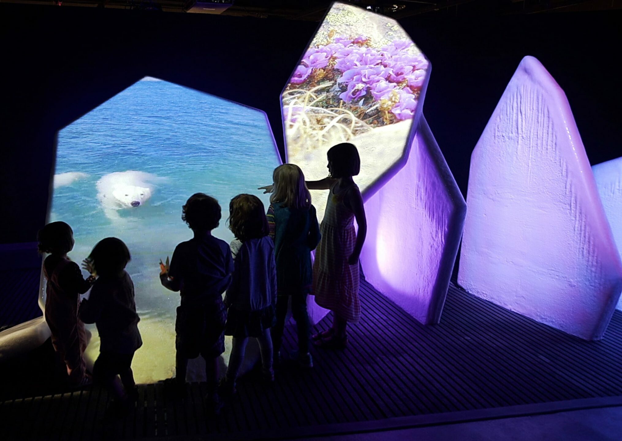 Arctic Habitats—On-Site School Workshop - Canadian Museum of Nature
