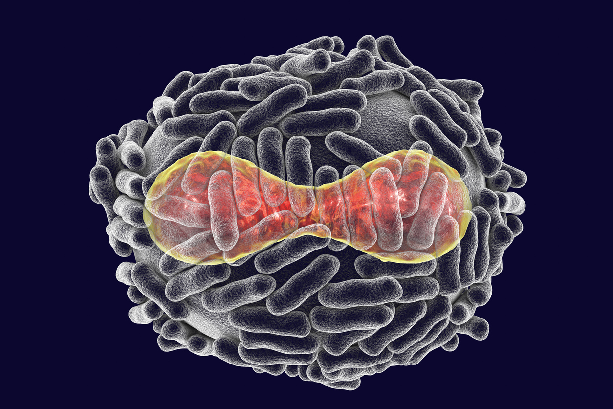 Monkeypox virus: Complete genome from the current outbreak now available in GenBank - NCBI Insights