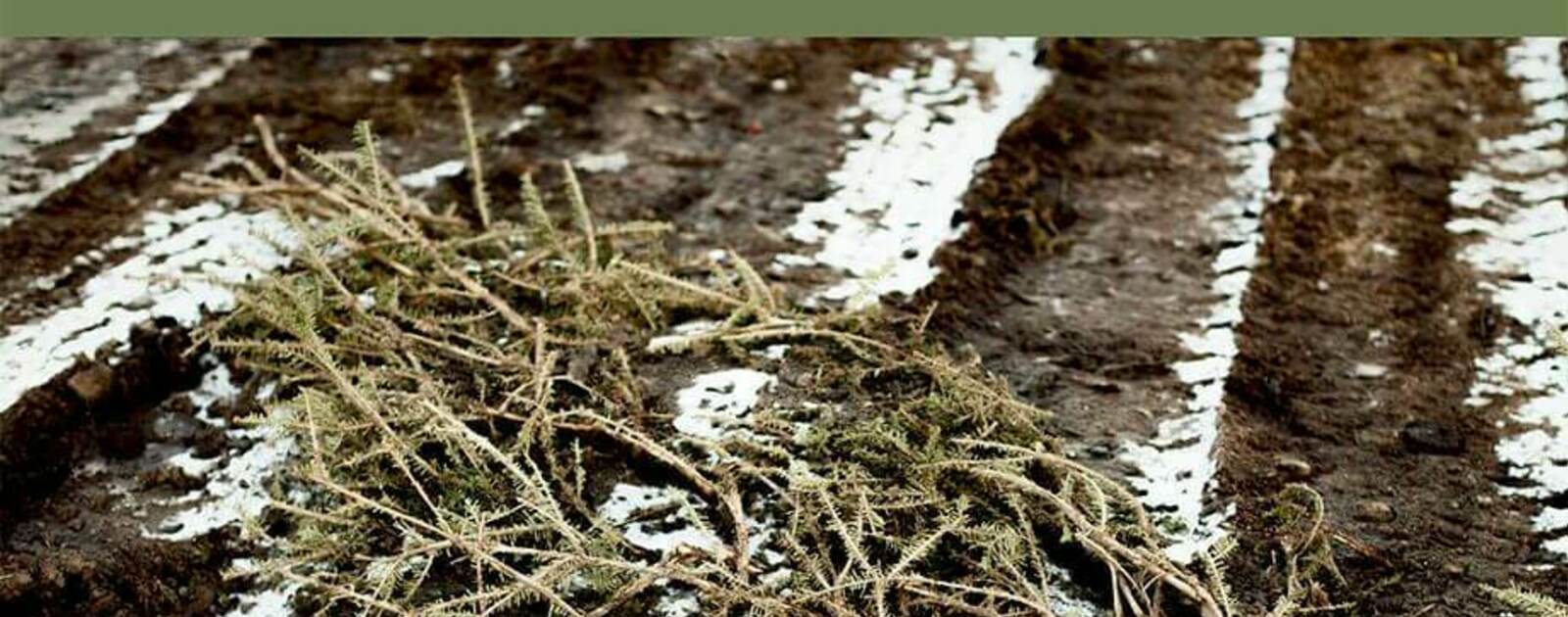 Climate Change as Political Catastrophe: Before Collapse | Reviews | Notre Dame Philosophical Reviews | University of Notre Dame