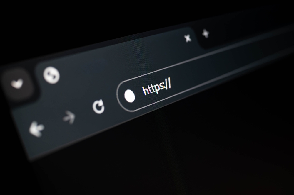 Understanding Domain Security and Phishing | NetDiligence