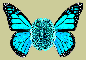NEUROQUEER • THE WRITINGS OF DR. NICK WALKER
