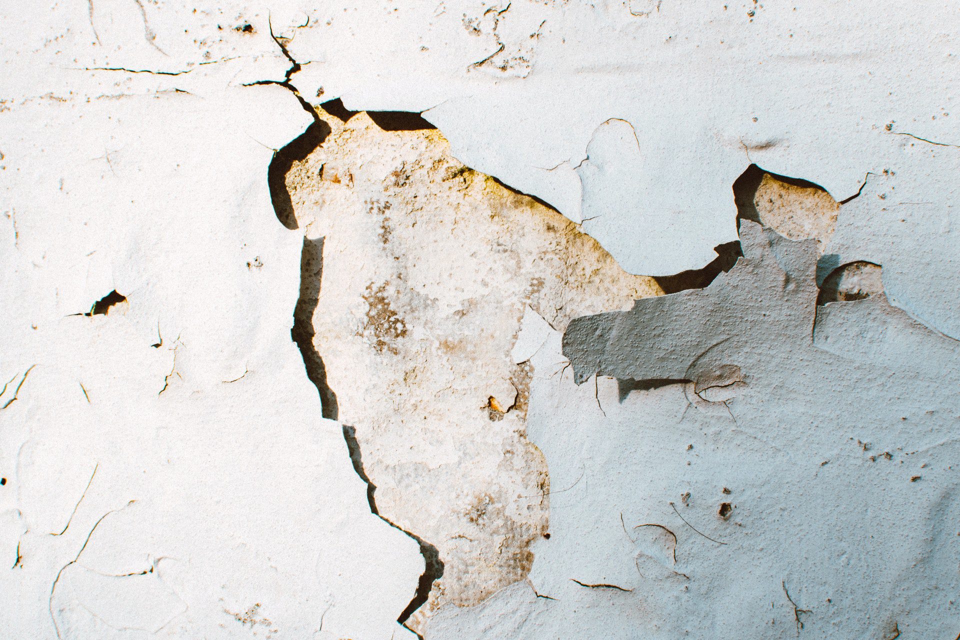 The Flaws in White Fragility Theory: A Primer - New Discourses