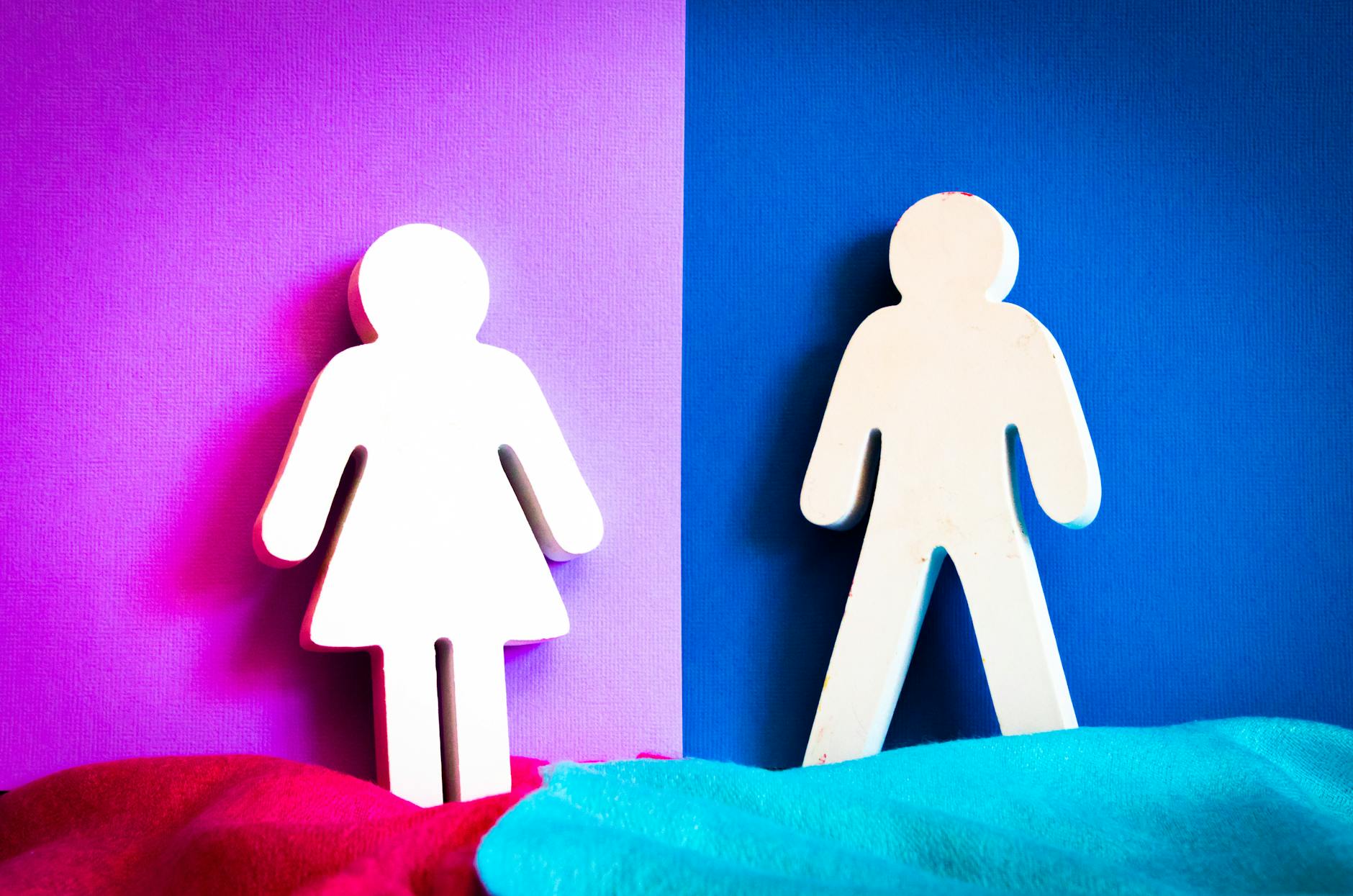 The Truth Between Trad Wife and Trans - New Guard Press