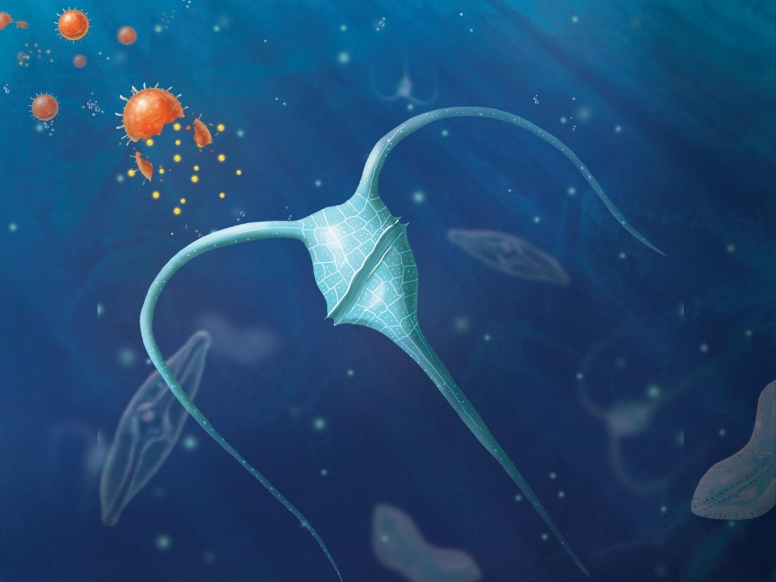 Engineered nanoparticles could help store excess carbon dioxide in the ocean - Ocean Acidification