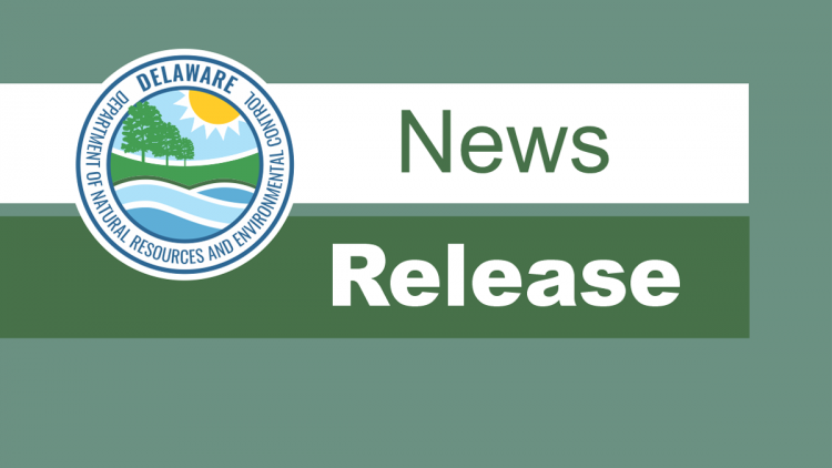 DNREC Reopens Indian River Bay to Clamming and Shellfish Harvesting After Millsboro Sewage Release - State of Delaware News