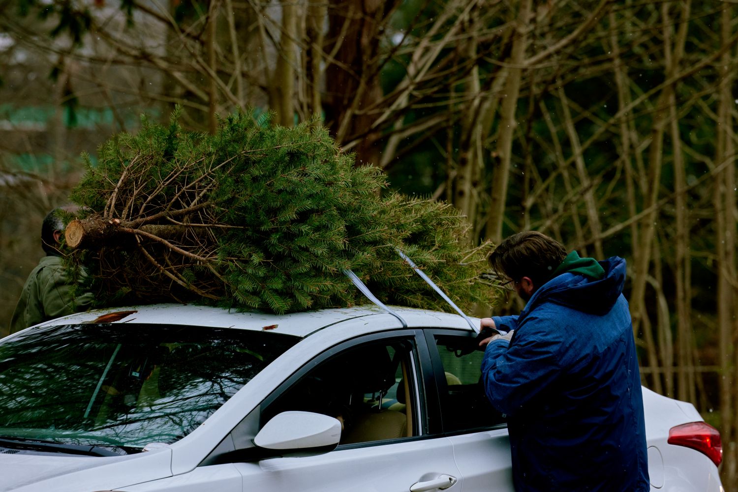 Give Your Holiday Tree a Second Life at TreeCycle Jan. 10 - State of Delaware News